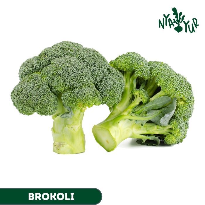 

INSTAN - Brokoli Segar 250-500gr per pcs