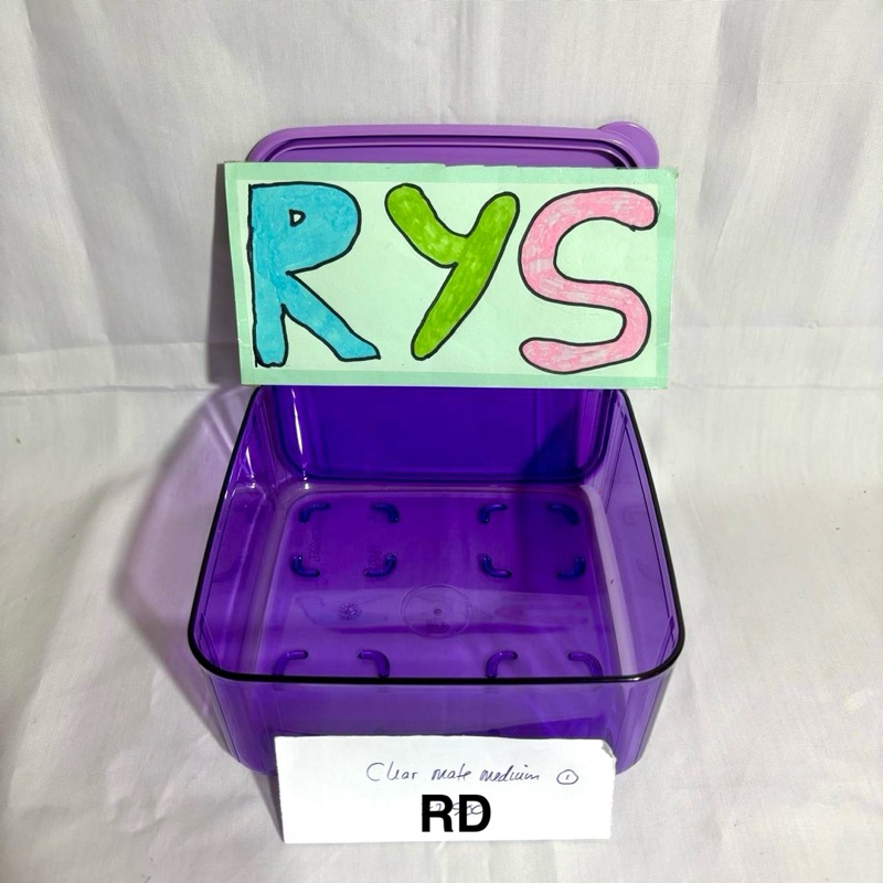 TUPPERWARE CLEAR MATE MEDIUM