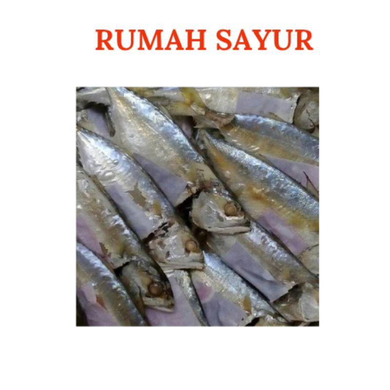 

Ikan Rebus Medan 250gr
