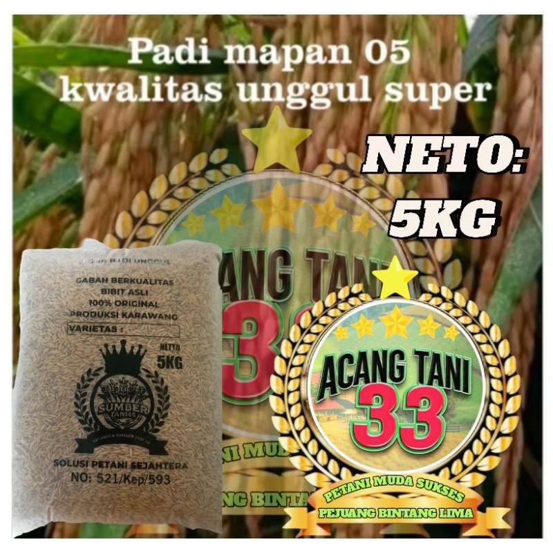 BENIH BIBIT PADI MAPAN 05 ORIGINAL KUALITAS SUPER UNGGUL (5KG).