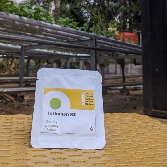 Benih melon inthanon / inthanon rz ( Repack )