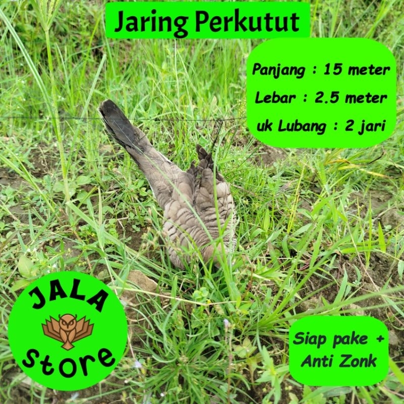 JARING BURUNG PERKUTUT JALA PERKUTUT LOKAL JARING PIKAT KUTUT JARING JEBAK PERKUTUT JALA JEBAK JARIN