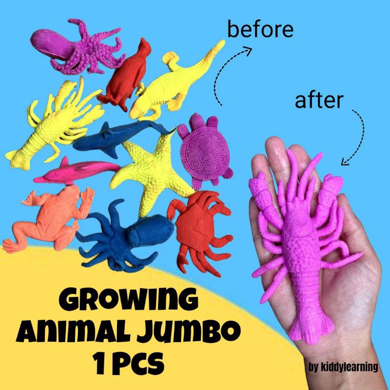 Growing Animals / Hewan Rendam Air / Mainan sensory peraba