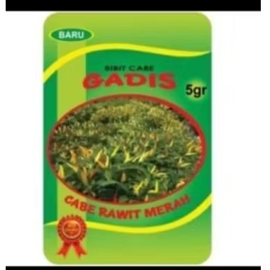 

Bibit Cabe GADIS Rawit