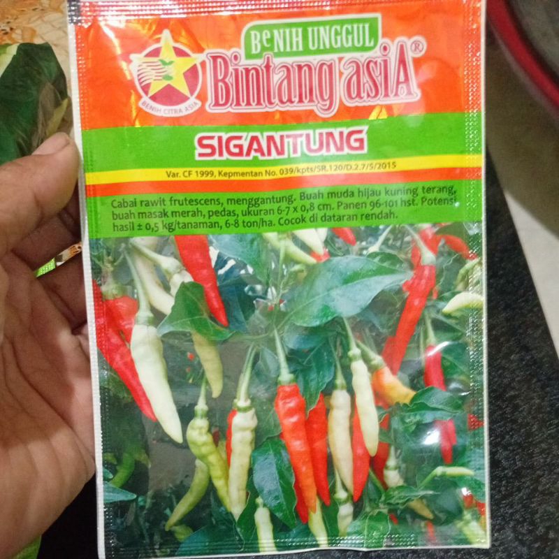 

biji cabe rawit gantung.10gr