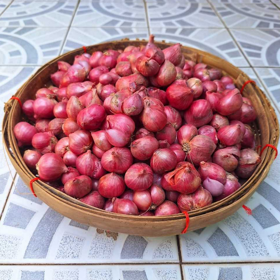 

BAWANG MERAH KERING BRAMBANG KUALITAS SUPER 500 Gram Asli Sulawesi Ukuran Besar dan Sedang