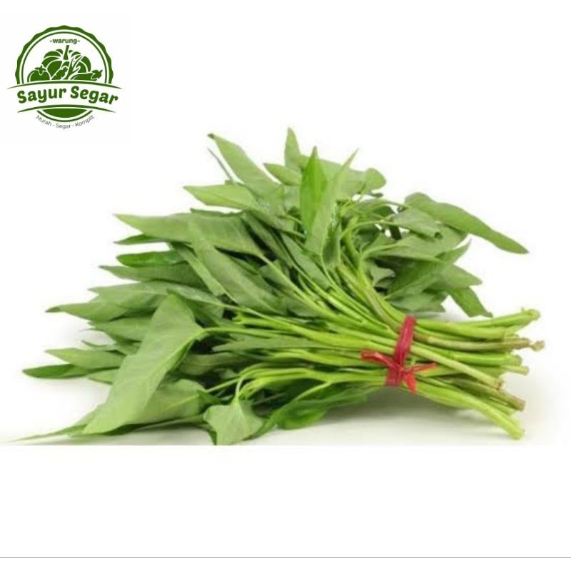 

Kangkung Akar / Kangkung Potong - Per Ikat