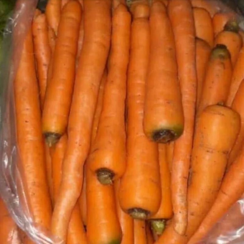 

wortel lokan fres 1kg