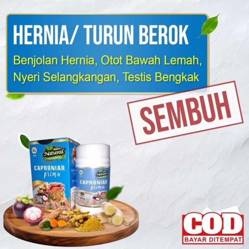 Herbal Hernia Asli Caproniar CV Super Prima Obat Herbal Hernia Verikokel