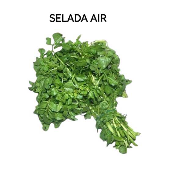 

Selada Air Sayuran Hijau Segar