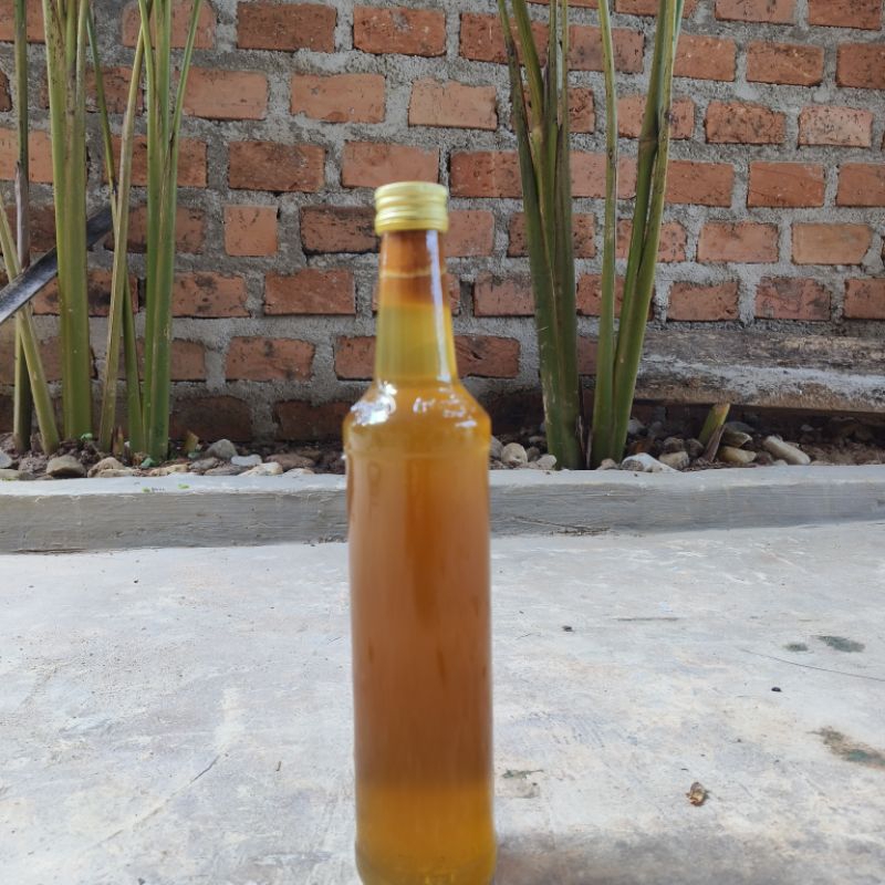 

Madu Asli *Tawon Gung