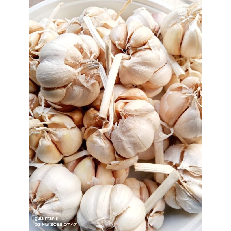 

BAWANG PUTIH BERSIH 250gr,500gr,1kg