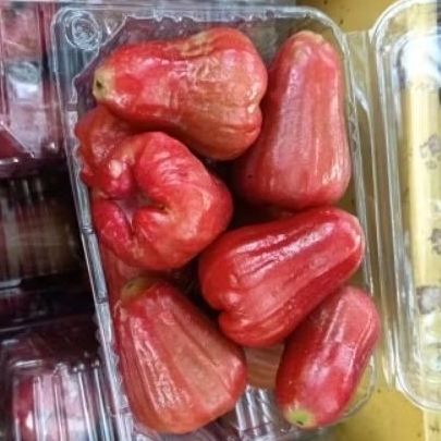 

jambu air citra