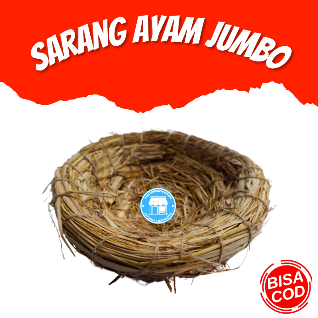 SARANG AYAM JUMBO Tempat Ayam Susuh Ayam Tempat Mengeram Ayam