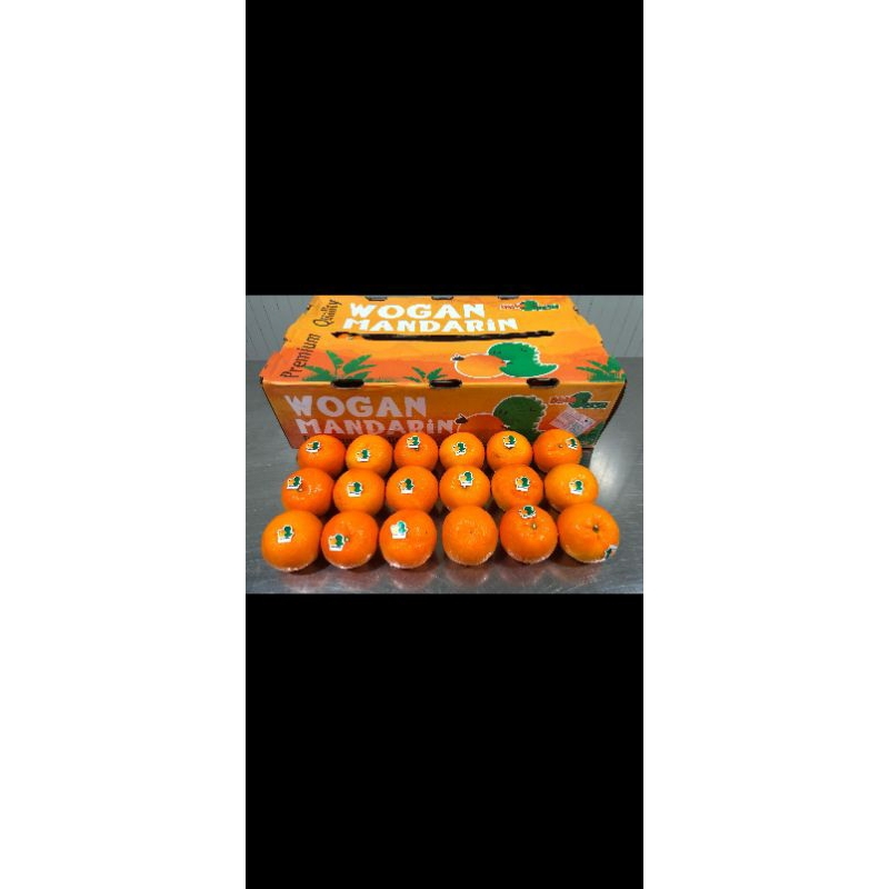 

Jeruk Mandarin Wogan Dino Fresh