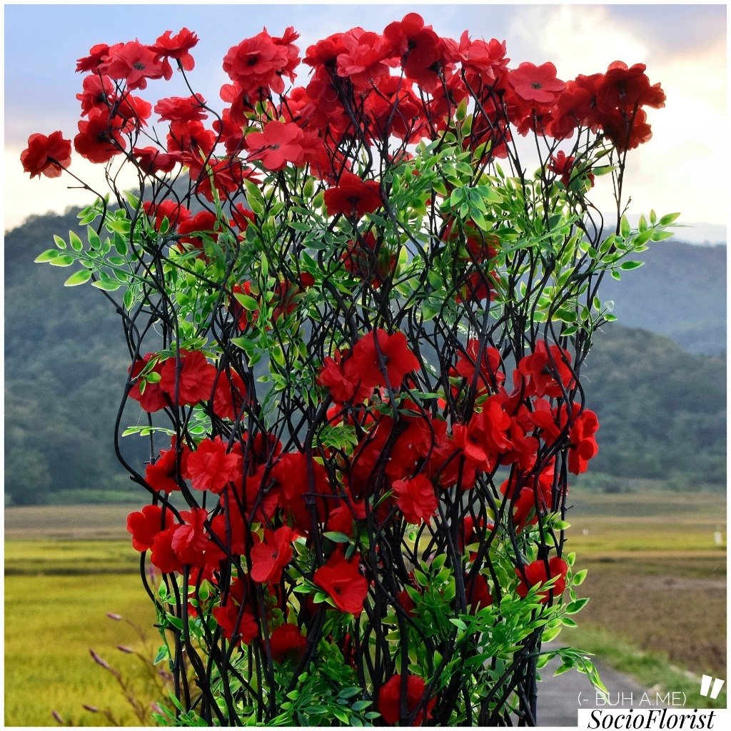 Perlengkapan Rumah Bunga Artifisial Dekorasi Aesthetic 20 Btg Bambu Ulir Hitam hias Anyelir Merah 14