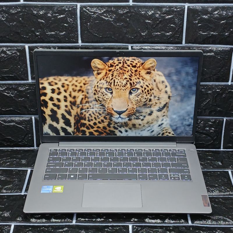 Laptop Editing Lenovo Ideapad Slim 3 11th Gen Intel Core I5-1155G7 8/512GB MX350