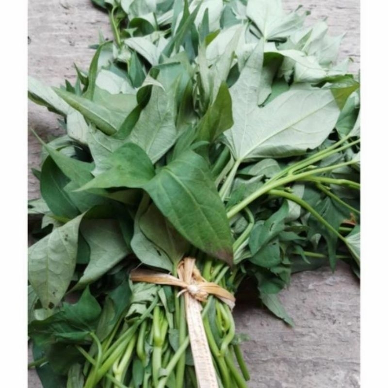 sayur glandir 1 ikat besar