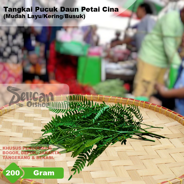 

Pucuk Tangkai Daun Muda 1 Ikat 200 Gram Lamtoro Petai Petai Cina Selong
