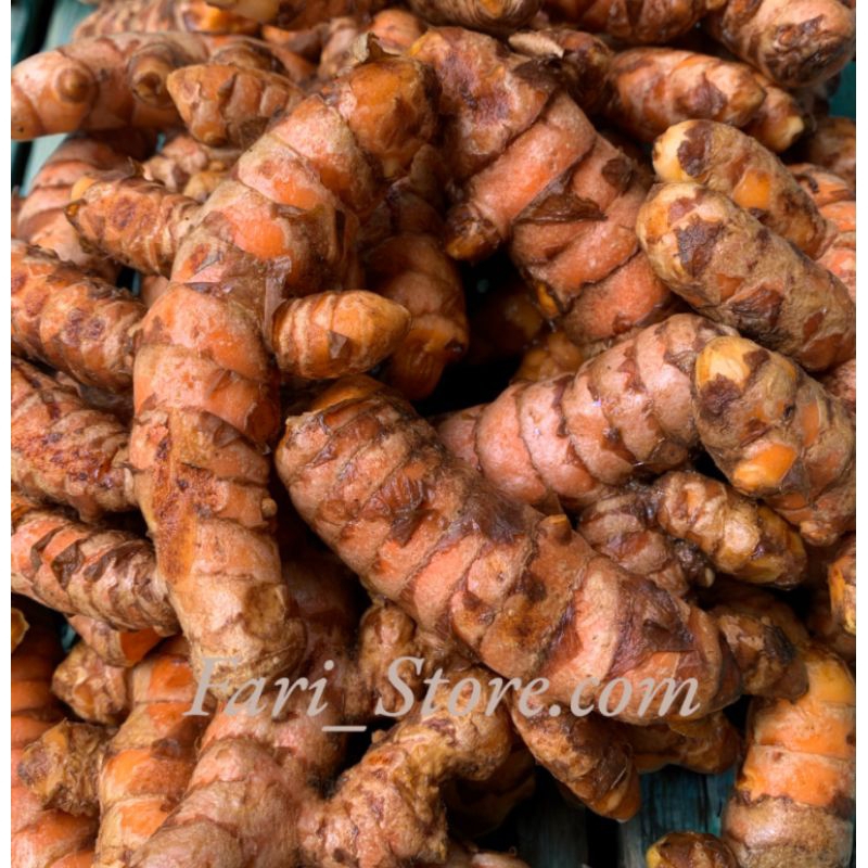 

Kunyit Besar Segar SUPER [500 Gram dan 1000gr]