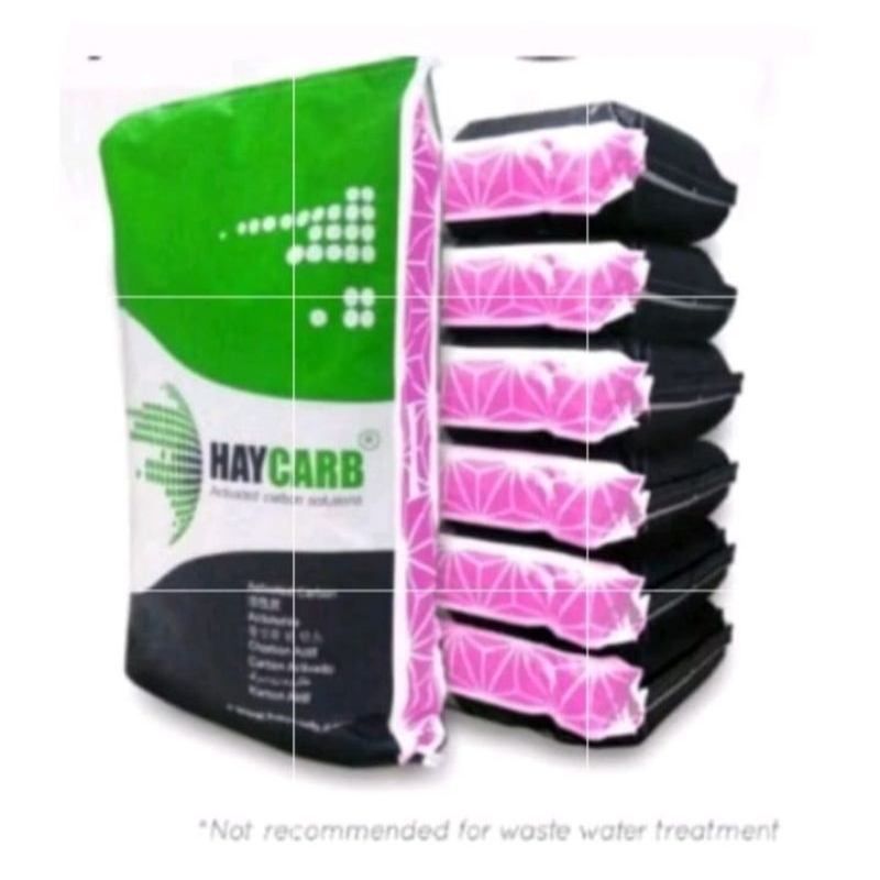 Karbon Aktif HAYCARB PHO 25kg