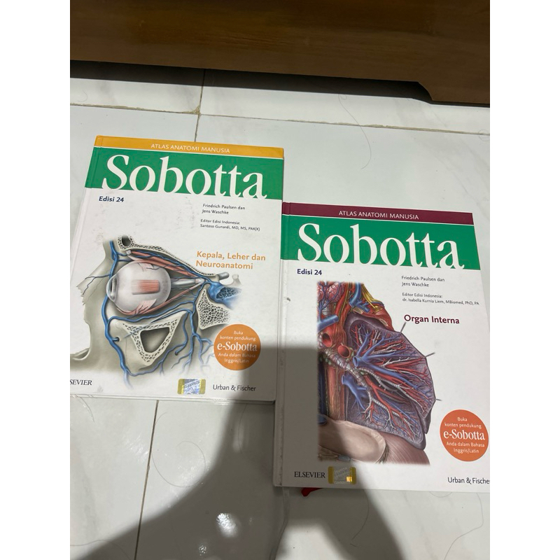 sobotta edisi 24