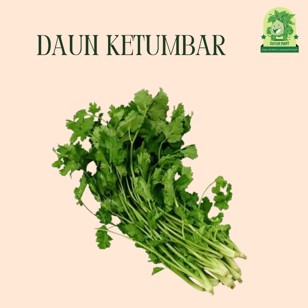 

Daun Ketumbar 100 Gram