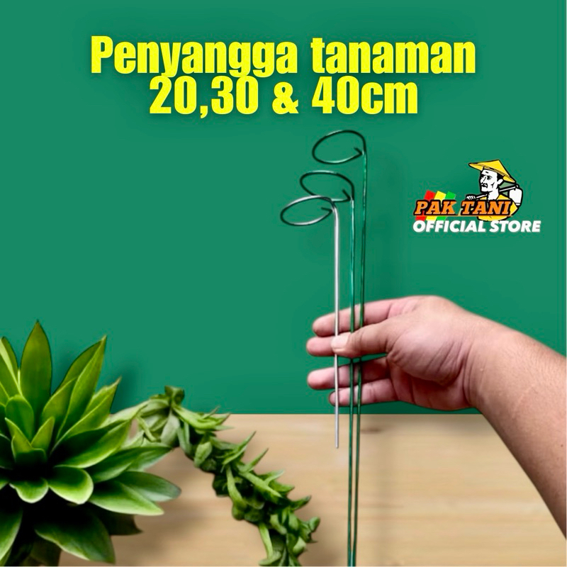 Penyangga tanaman Anggrek Penyangga bunga penyangga tumbuhan bahan tebal