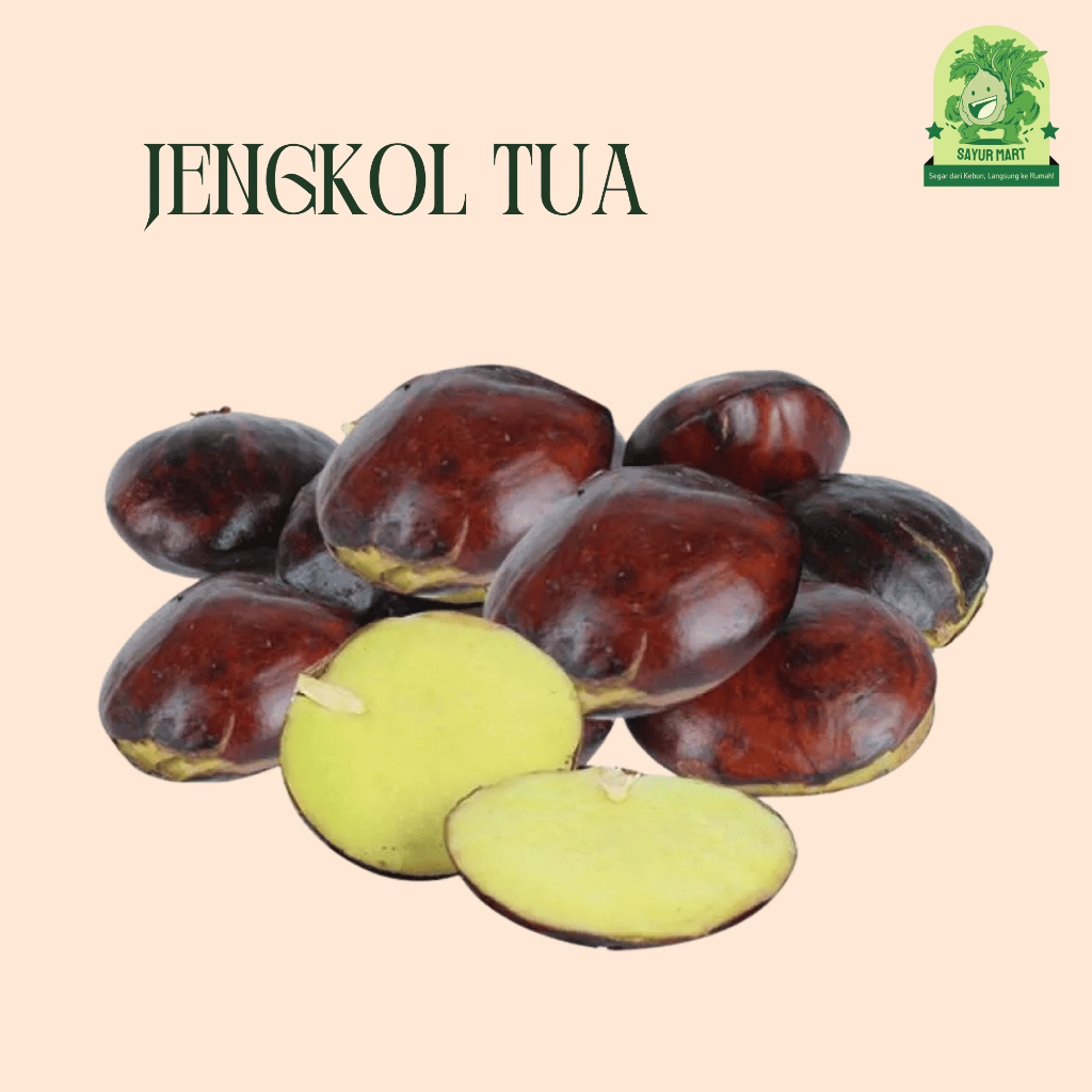 

Jengkol Tua 200 Gram