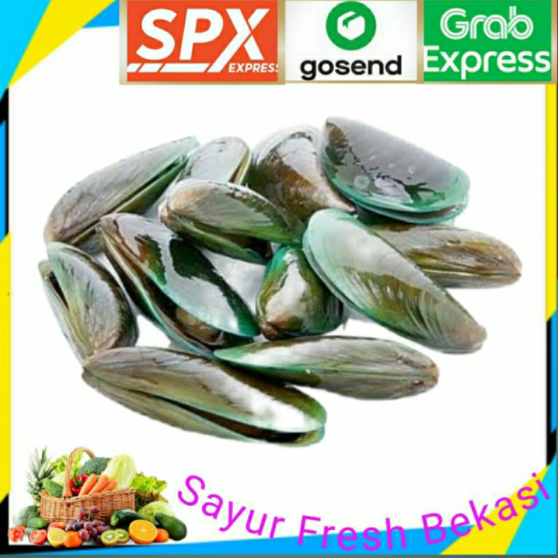 

Kerang Hijau 1kg