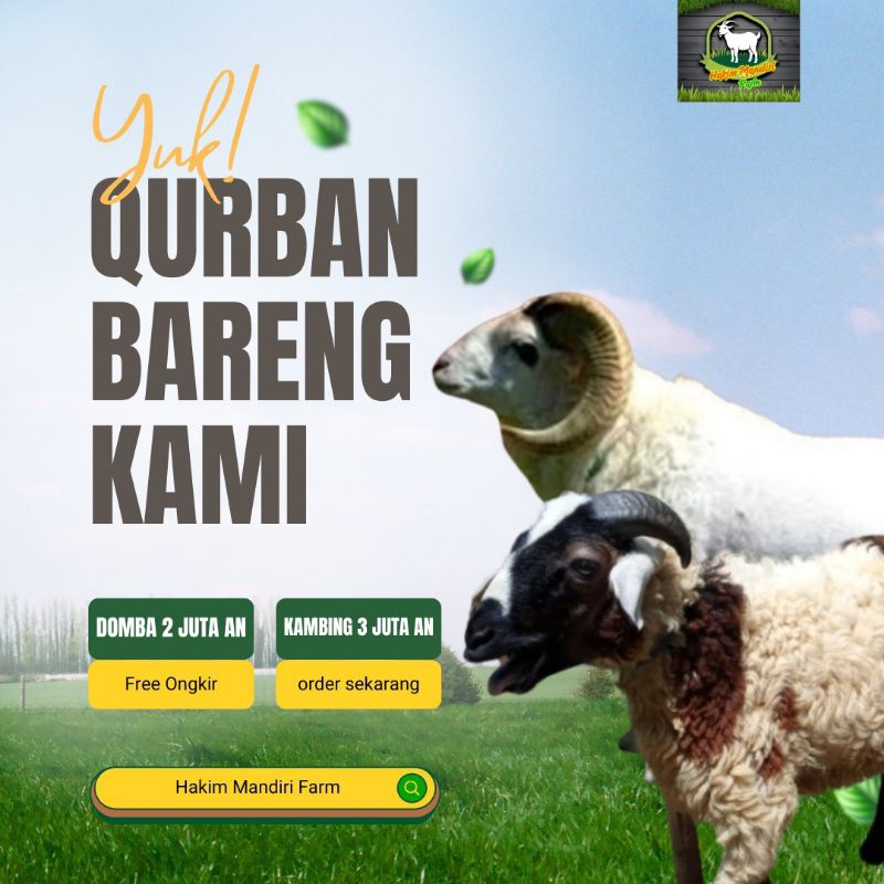 Hewan Qurban Kambing Domba Qurban Kurban Hidup