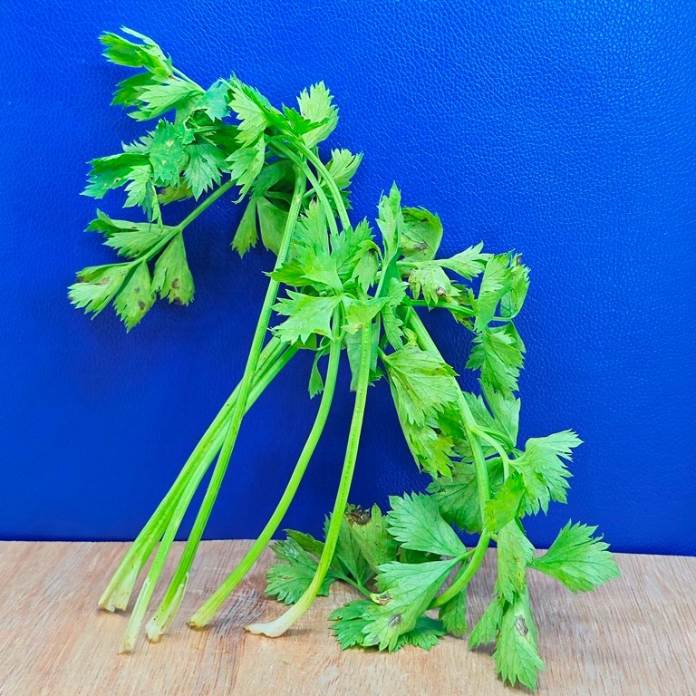 

SELEDRI sayuran sayur bumbu dapur 1kg 1 kg kilo 100 gram 250 gr kiloan sledri