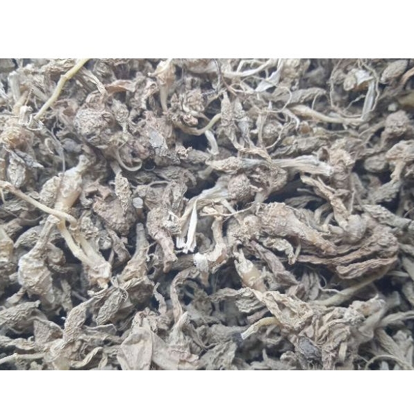 

KUNCI PEPET KERING Original - Varian Isi 500 gram (sudah di cuci bersih sebelum di keringkan)