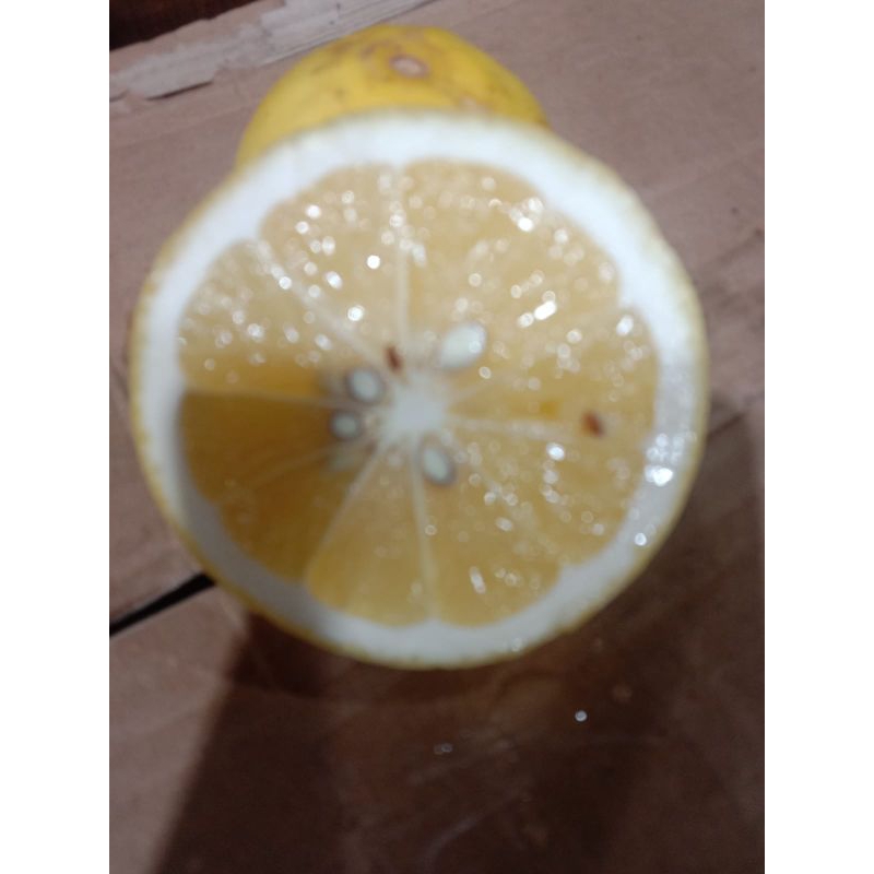 

jeruk lemon