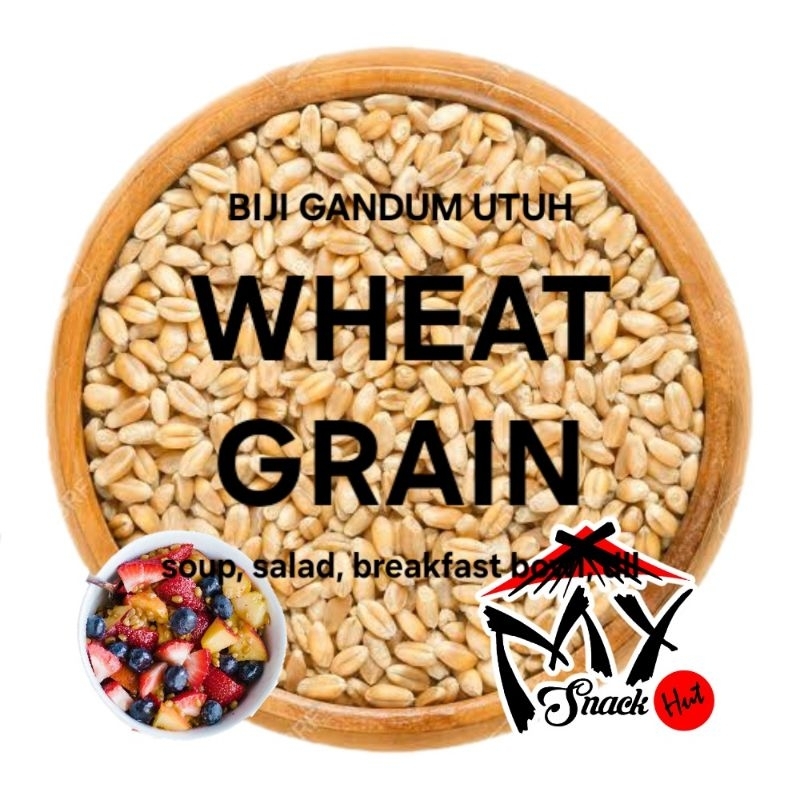 

WHEAT GRAIN 250GR BIJI BERAS GANDUM UTUH BERRY BERRIES FOOD GRADE PREMIUM WHOLE SEED BUTIR SALAD SOP