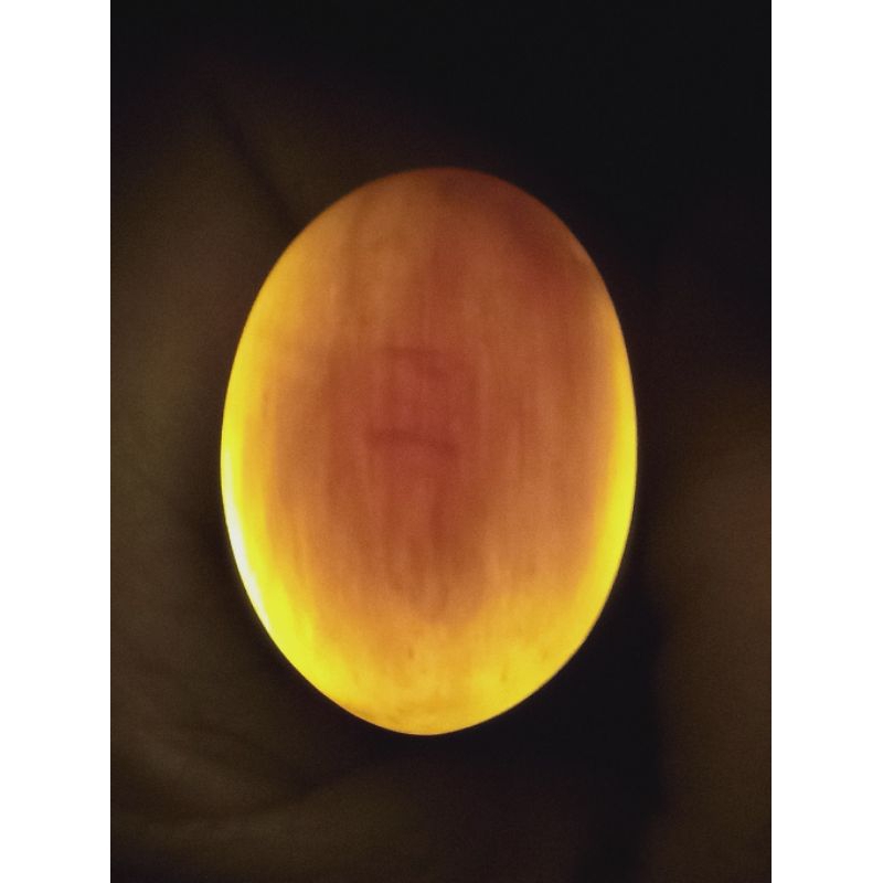 Batu FosilKristal Kelor Putih