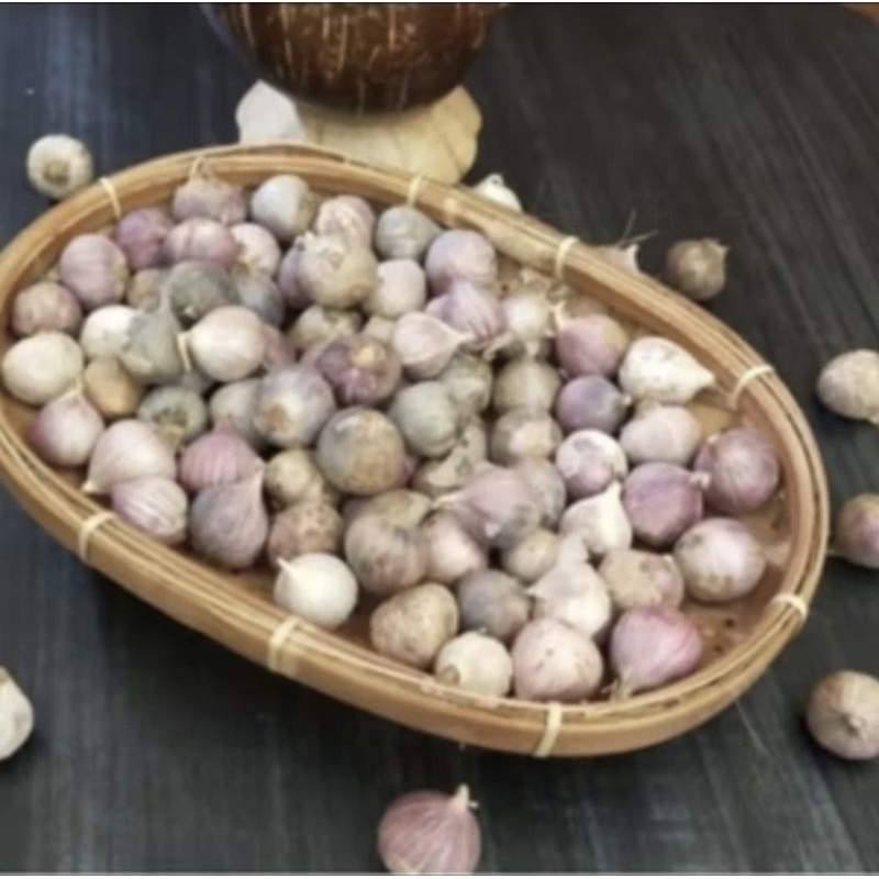 

Bawang putih tunggal / bawang putih lanang tunggal alami 500 gr