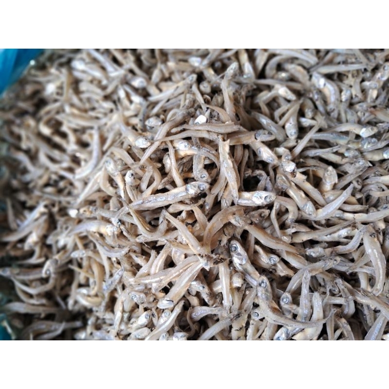 

ikan asin teri kacang teri buntio teri rebus sibolga terfavorit kualitas terbaik 1 KG