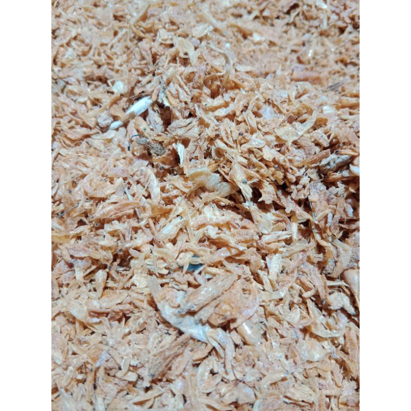 

ikan ebi kcl 100gr