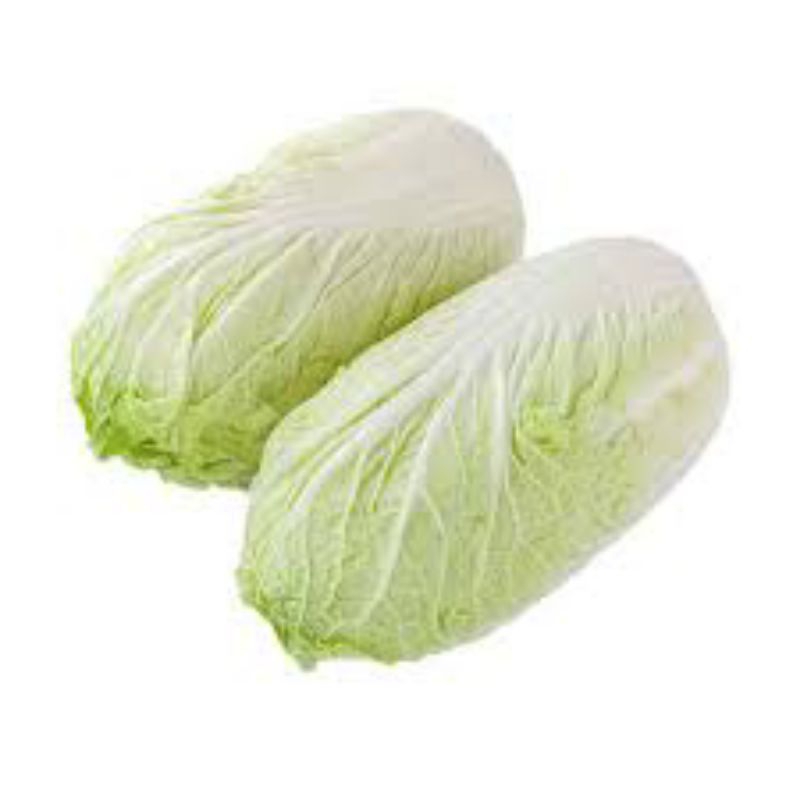 

sawi putih segar tanpa bahan pengawet