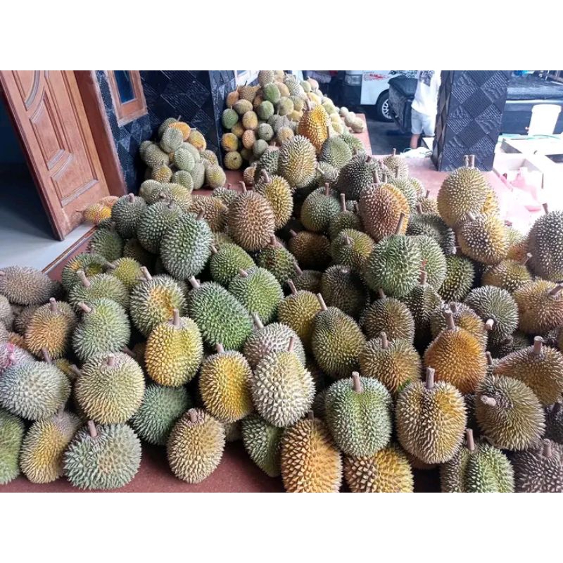 

BIJI DURIAN MONTONG KHAS MANGGA BESAR RAYA SAYANG.... PER 1 KG....