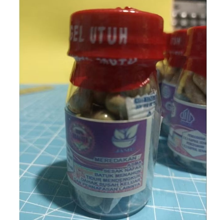 

Kapsul Srigunggu, Herbal Akar Srigunggu Segel isi 28 kapsul bonus panduan minum, racik, dan gurah