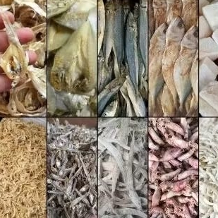 

aneka ikan asin mulai 5000 an