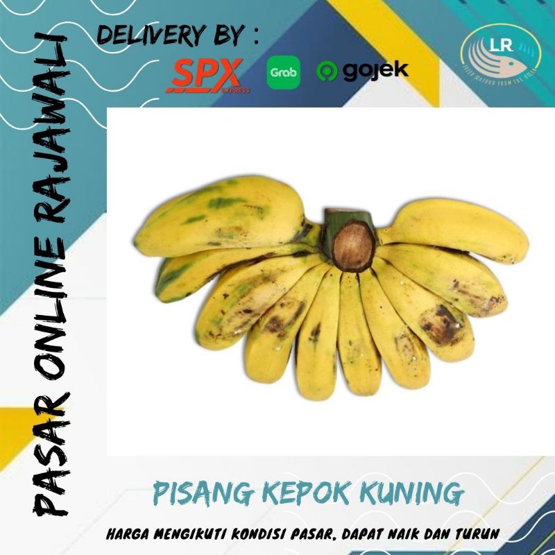

Pisang kepok