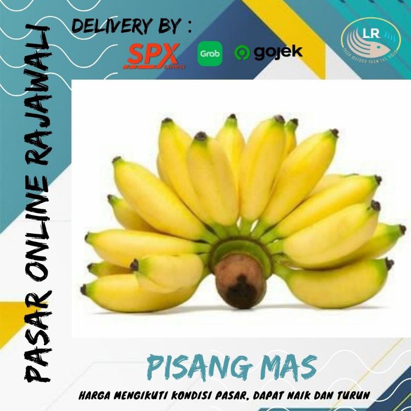 

Pisang mas