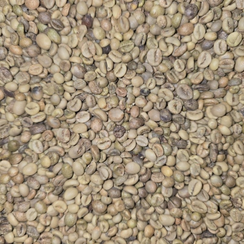 

Sunda Wangi- Biji Kopi Green Beans Robusta Grade 2- 1Kg (GRATIS ONGKIR)