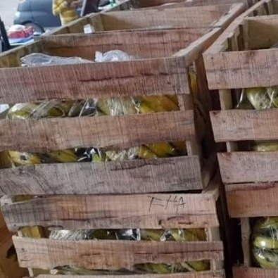 

Pisang Ambon kemasan Peti