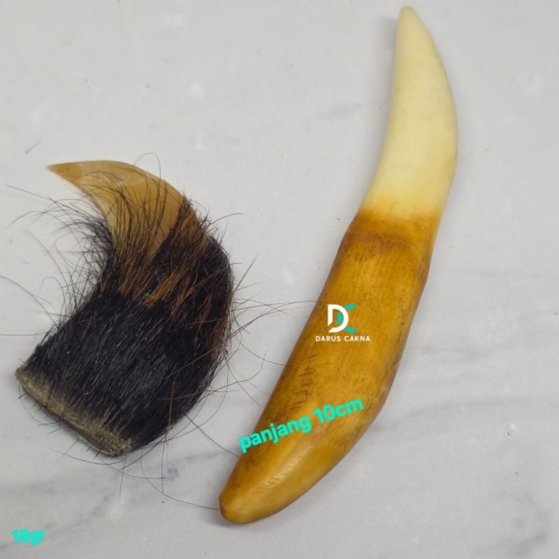 Bahan leontin kucan Tan tarcan