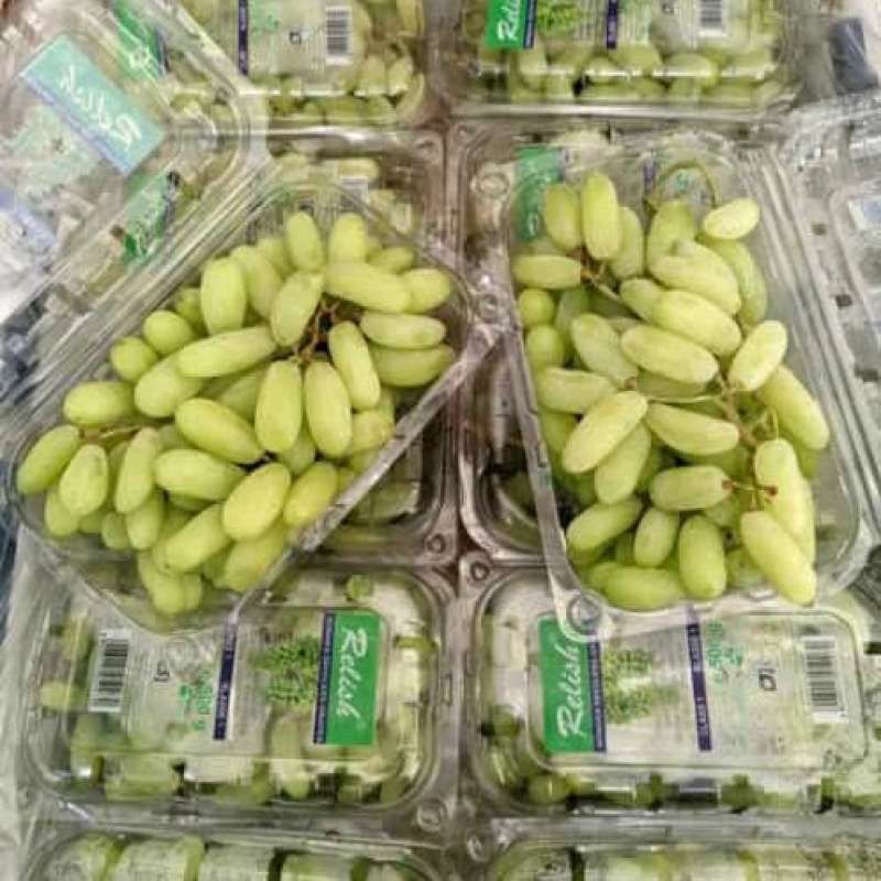 

Anggur Banana Green / Anggur Jari Hijau PROMO