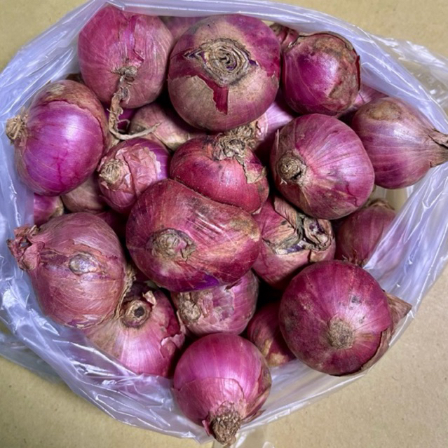

Bawang merah